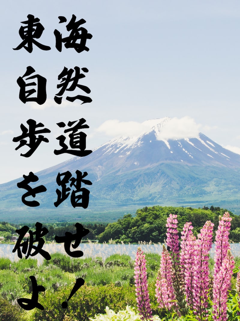 東海自然歩道を踏破せよ！